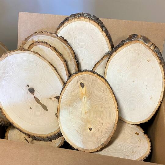 Wilson® Enterprises Multipack Basswood Plaque